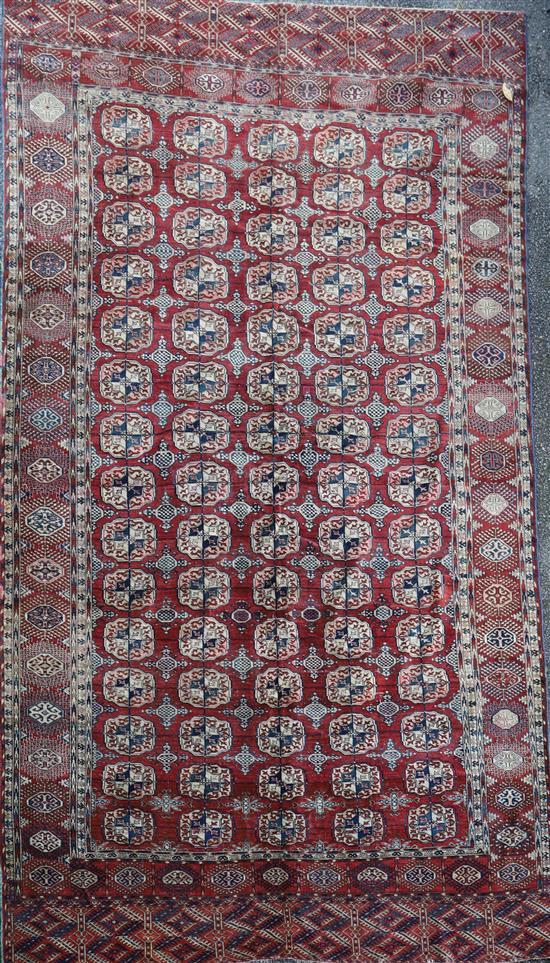 An antique Tekke Bokhara carpet, 11ft 11in by 7ft 6in.